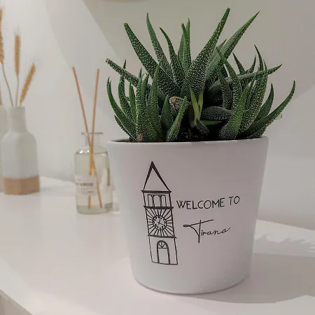 Boho Style In Center Of * טיראנה