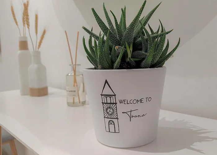 Boho Style In Center Of * Tiran